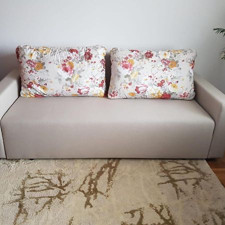 Garsoniera Mihaela Apartment Petrosani Luaran gambar