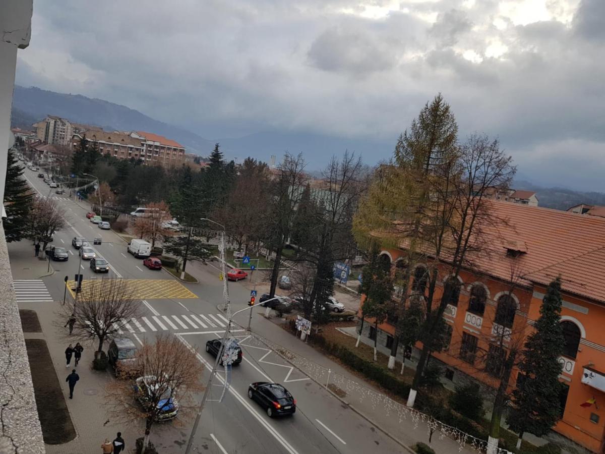 Garsoniera Mihaela Apartment Petrosani Luaran gambar
