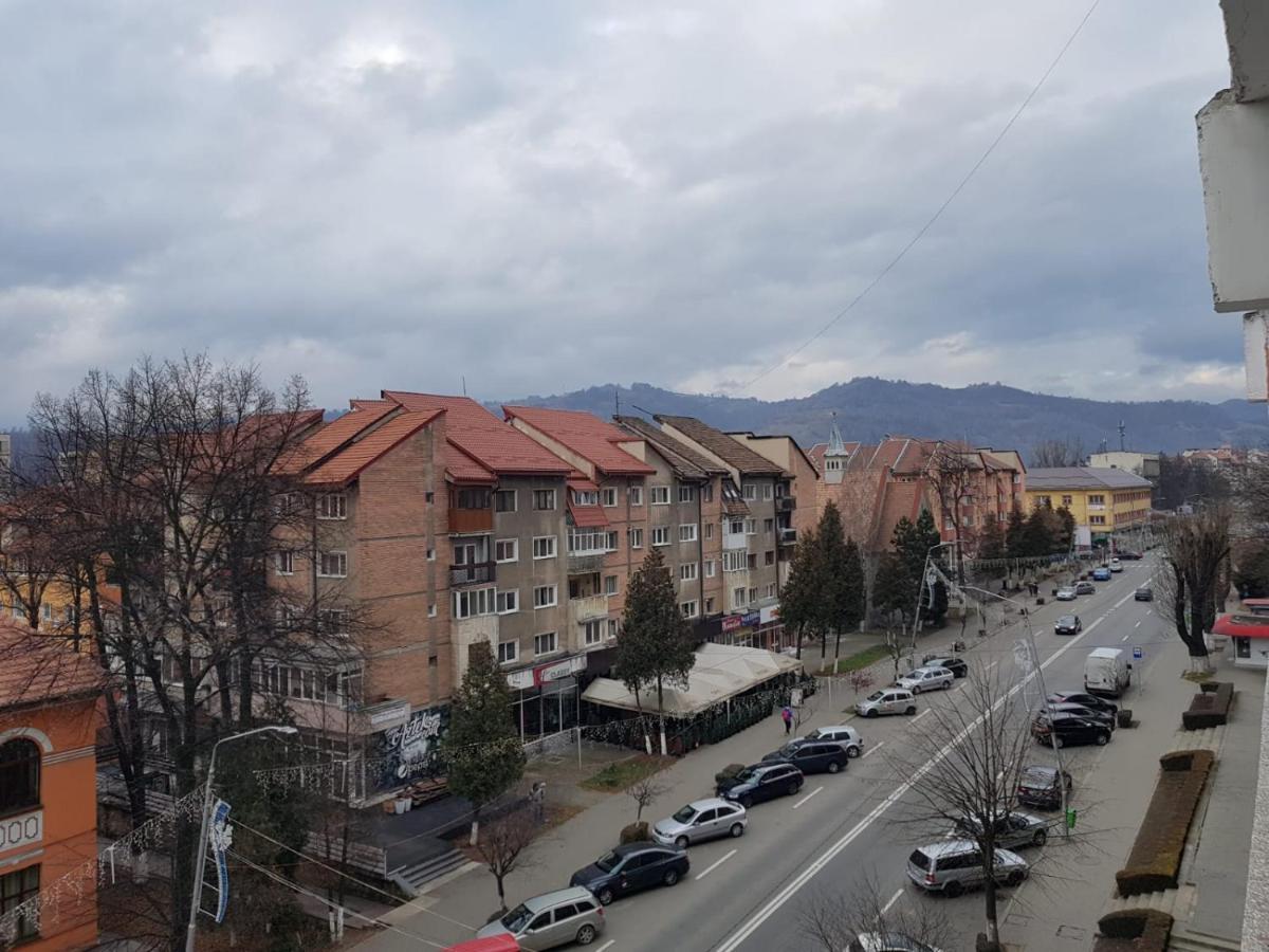 Garsoniera Mihaela Apartment Petrosani Luaran gambar