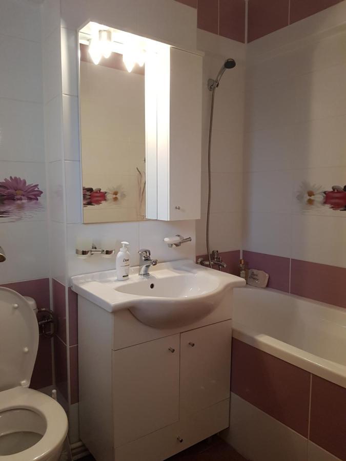 Garsoniera Mihaela Apartment Petrosani Luaran gambar