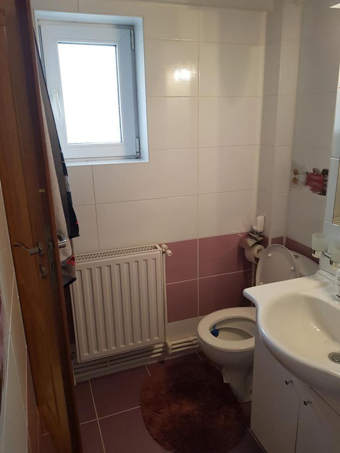 Garsoniera Mihaela Apartment Petrosani Luaran gambar