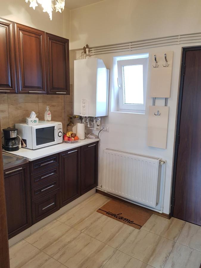 Garsoniera Mihaela Apartment Petrosani Luaran gambar