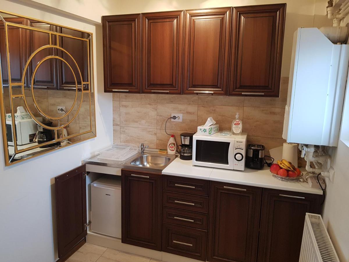 Garsoniera Mihaela Apartment Petrosani Luaran gambar