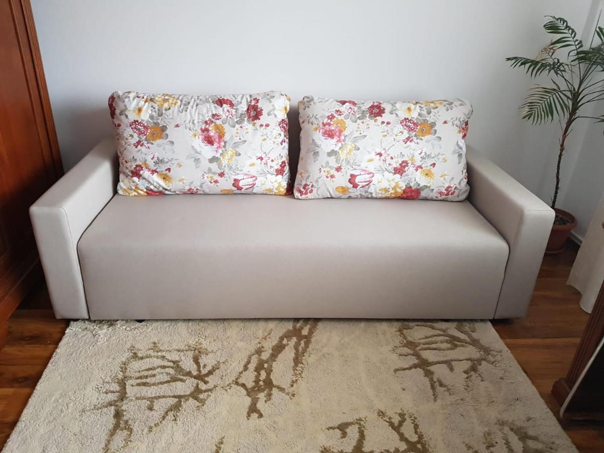 Garsoniera Mihaela Apartment Petrosani Luaran gambar