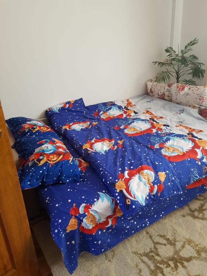Garsoniera Mihaela Apartment Petrosani Luaran gambar