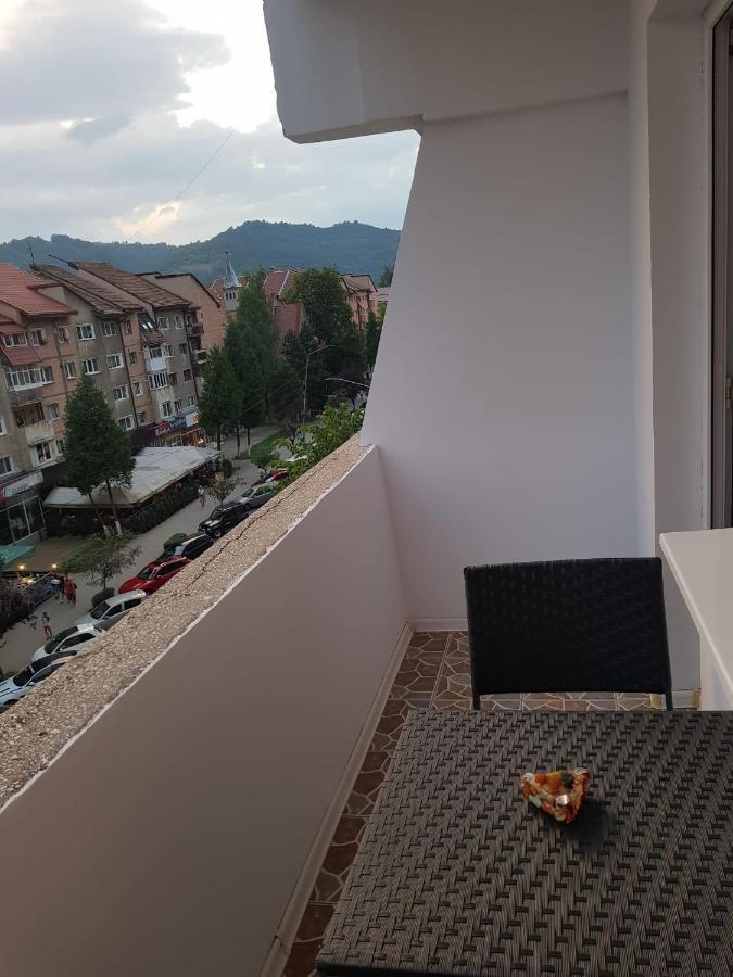 Garsoniera Mihaela Apartment Petrosani Luaran gambar