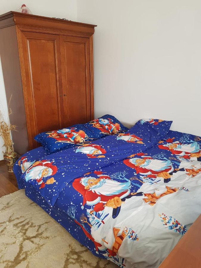 Garsoniera Mihaela Apartment Petrosani Luaran gambar