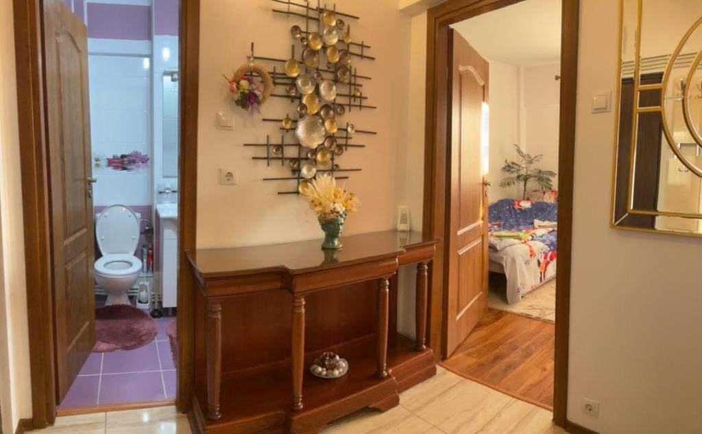 Garsoniera Mihaela Apartment Petrosani Luaran gambar